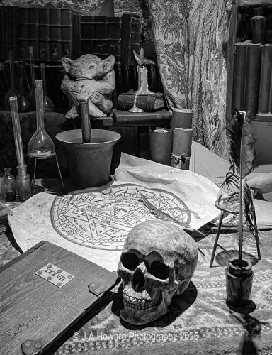 Predicting the future Display at Tudor World Museum