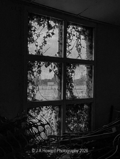 Window ivy Join Full Circle Paranormal as we explore some of the most haunted venues across the UK.